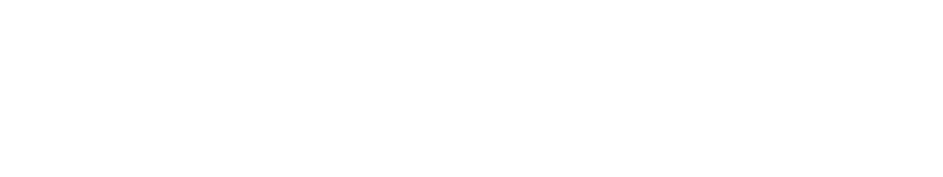 Logistica Peninsular Logo